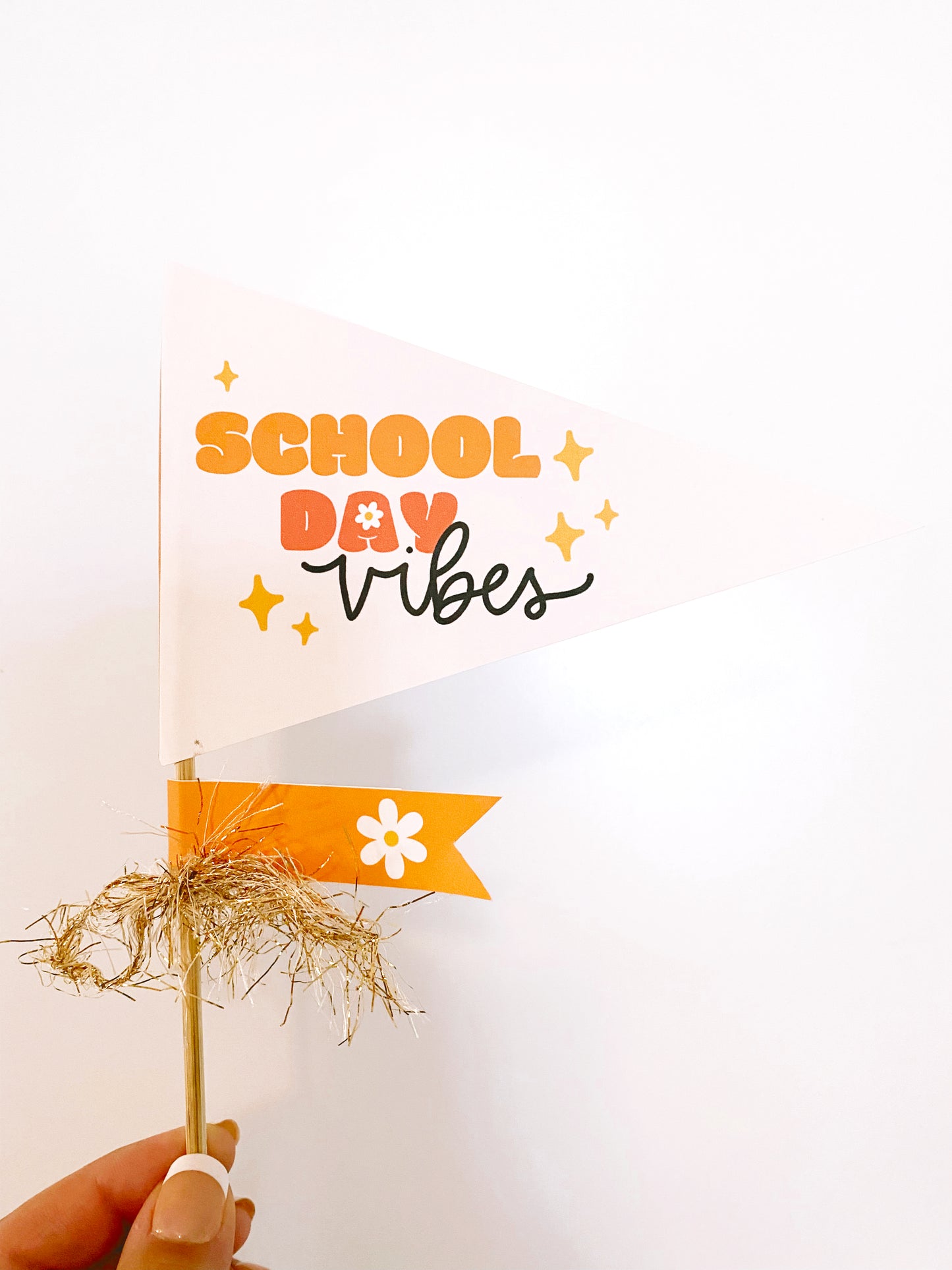 School vibes pennants | Printable Bundle