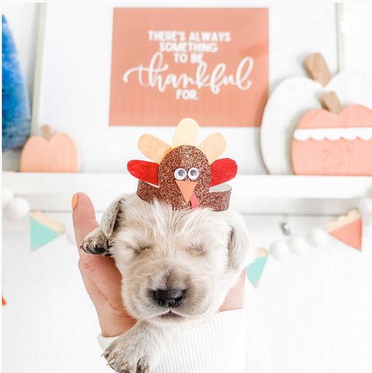 Thanksgiving Collection | Printable Bundle